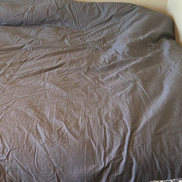 Waterford Fine Linens Queen Comforter Set - Picture 8 of 8